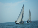 IMGP0134.jpg