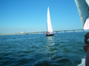 IMGP0142.jpg