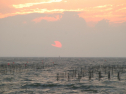 IMG_6011.jpg