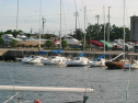 IMG_6033.jpg
