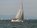 IMG_6079.jpg