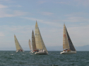 IMG_6125.jpg
