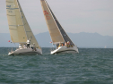 IMG_6126.jpg