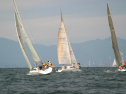 IMG_6131.jpg