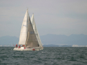 IMG_6136.jpg