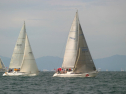 IMG_6139.jpg