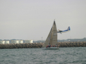 IMG_6142.jpg