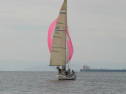 IMG_6236.jpg