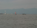 IMG_6237.jpg