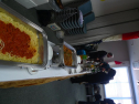 P1000210.jpg
