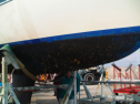 SANY0207.jpg