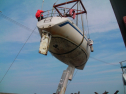 SANY0215.jpg