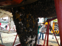 SANY0226.jpg