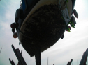 SANY0233.jpg