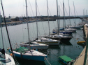 SANY0245.jpg