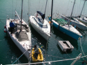 SANY0246.jpg