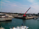 SANY0247.jpg