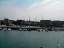 SANY0248.jpg