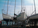SANY0262.jpg