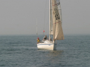 IMG_9327.jpg