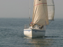 IMG_9329.jpg