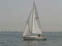 IMG_9331.jpg