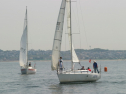 IMG_9348.jpg