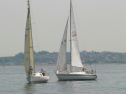 IMG_9358.jpg