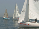 IMG_9359.jpg