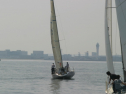 IMG_9381.jpg