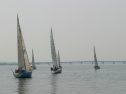IMG_9382.jpg