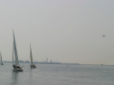 IMG_9383.jpg