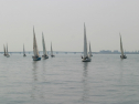 IMG_9384.jpg