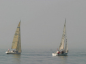 IMG_9388.jpg