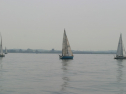 IMG_9390.jpg
