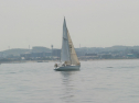 IMG_9392.jpg