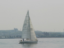 IMG_9393.jpg