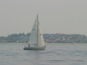 IMG_9399.jpg