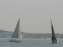 IMG_9402.jpg