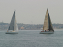 IMG_9403.jpg