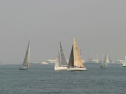 IMG_9408.jpg