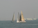 IMG_9409.jpg