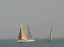 IMG_9411.jpg