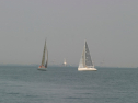 IMG_9412.jpg