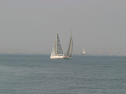 IMG_9414.jpg