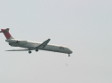 IMG_9416.jpg