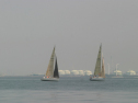 IMG_9418.jpg