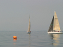 IMG_9424.jpg