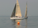 IMG_9425.jpg