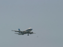 IMG_9426.jpg